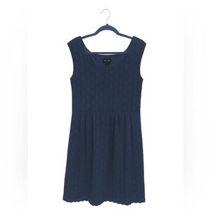 RN Studios Women’s Blue Sleeveless Lace Dress – Size 10